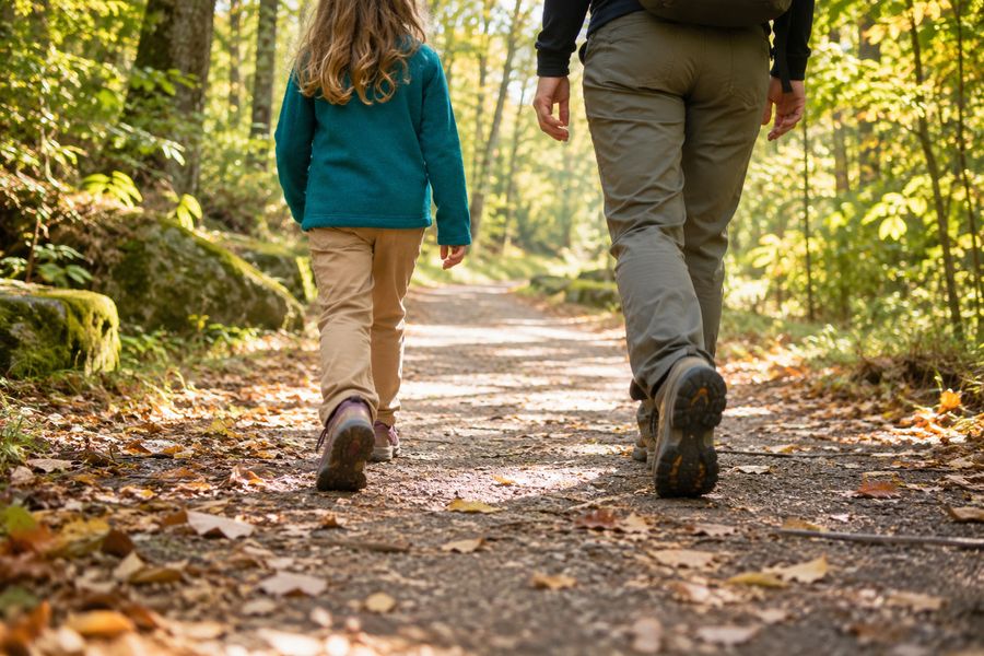 Promenade en forêt sur un sentier